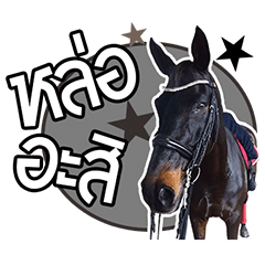 [LINEスタンプ] My Pet Story