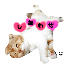 [LINEスタンプ] every day with LUNA 1