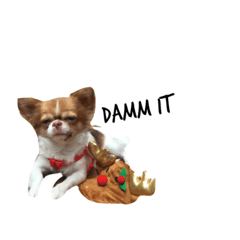 [LINEスタンプ] Jaspercurrentmood
