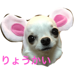 [LINEスタンプ] riritanyume