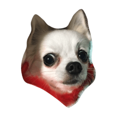 [LINEスタンプ] ちーーーーーず