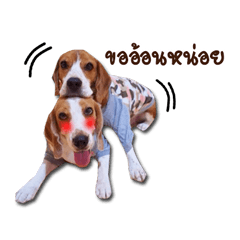 [LINEスタンプ] Mooping-Moopun