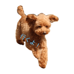 [LINEスタンプ] 我が家のティンク