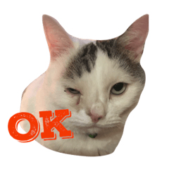 [LINEスタンプ] たろぽーさん