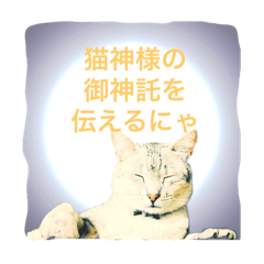 [LINEスタンプ] 猫神様の御神託