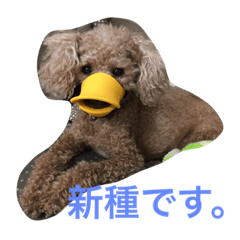 [LINEスタンプ] パップスリー