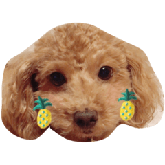 [LINEスタンプ] ららにこ