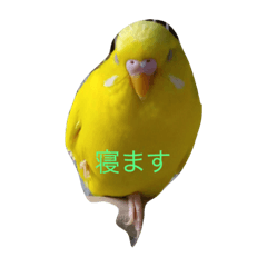 [LINEスタンプ] ぴーちゃんとポピー
