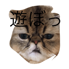 [LINEスタンプ] 謎 スタンプ