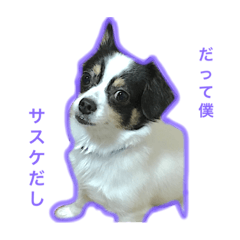 [LINEスタンプ] だって僕サスケだし。