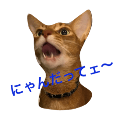 [LINEスタンプ] にゃんだかなァ〜