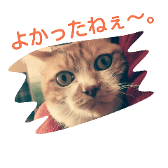 [LINEスタンプ] 恐み猫6