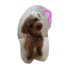 [LINEスタンプ] haha dog