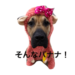 [LINEスタンプ] 犬がいっぱい