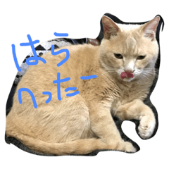 [LINEスタンプ] そらり