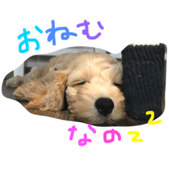 [LINEスタンプ] ティムのきもち