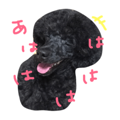 [LINEスタンプ] くろぷー
