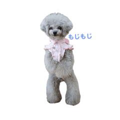 [LINEスタンプ] ごまぐみだらけ