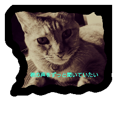 [LINEスタンプ] ネコと君