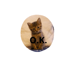 [LINEスタンプ] kiji neko
