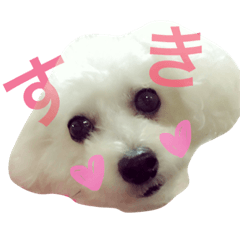 [LINEスタンプ] 癒しのふうにゃん