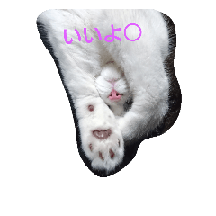 [LINEスタンプ] Every day Mel