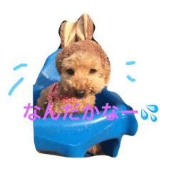 [LINEスタンプ] cutest dog3