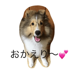[LINEスタンプ] Yoroshiku！