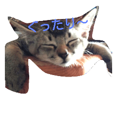 [LINEスタンプ] 猫田一家