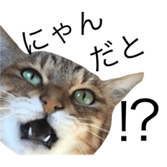 [LINEスタンプ] miaemon2