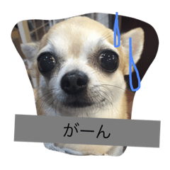 [LINEスタンプ] とろろのまったりlife