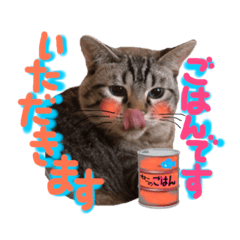 [LINEスタンプ] ベンガル猫のミルコ