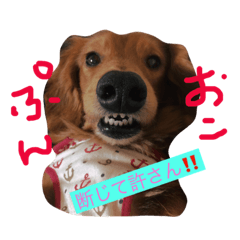 [LINEスタンプ] pretty eye