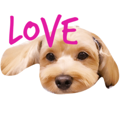 [LINEスタンプ] エイトstamp