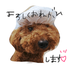 [LINEスタンプ] nanguden.l