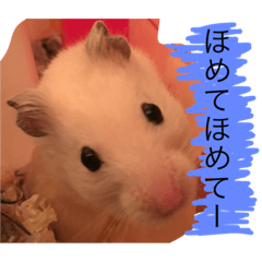 [LINEスタンプ] チュウ吉スタンプ