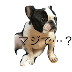 [LINEスタンプ] そらぷ