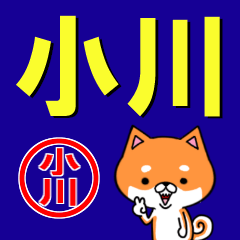 [LINEスタンプ] 超★小川(おがわ・おざわ・おかわ・こかわ)