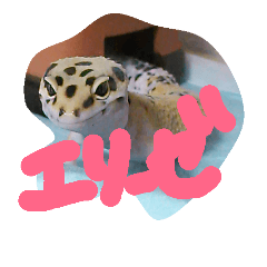 [LINEスタンプ] エリーゼスタンプ