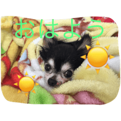 [LINEスタンプ] T'ふれあい