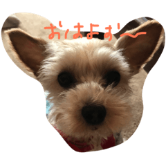 [LINEスタンプ] みおちゃんlove