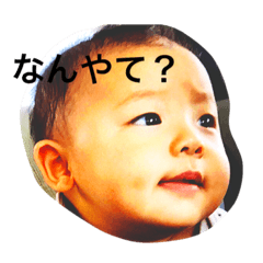 [LINEスタンプ] こたろりあくしょん。