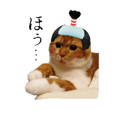 [LINEスタンプ] スコティッシュはるまる第5弾～江戸猫編～