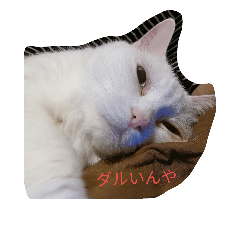 [LINEスタンプ] さくらたんの日常