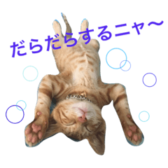 [LINEスタンプ] チェルシー＆ステラ