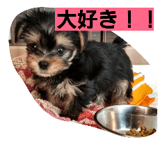 [LINEスタンプ] 難波マイケル