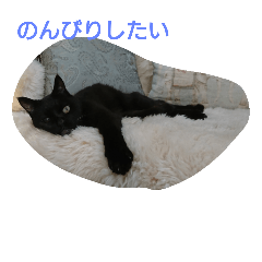 [LINEスタンプ] ねこになりたい