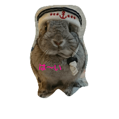 [LINEスタンプ] うさぎのふうちゃんのスタンプ