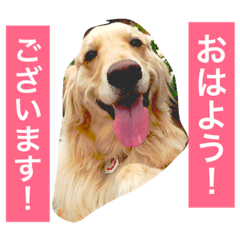 [LINEスタンプ] るるの日常