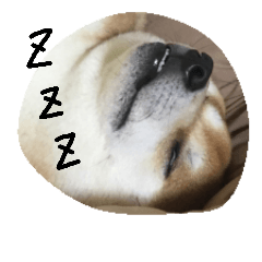 [LINEスタンプ] 柴犬ポチ